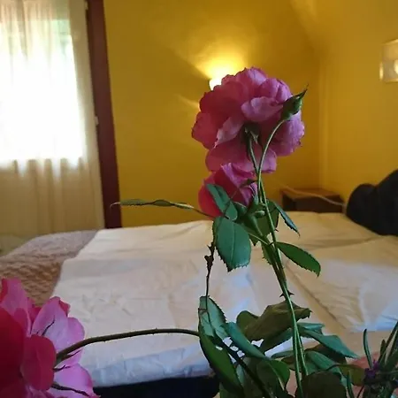Oda ve Kahvaltı Levendula Panzio Es Etterem